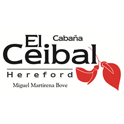 El Ceibal