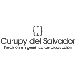Curupy del Salvador