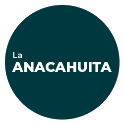 La Anacahuita