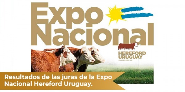 Resultados de las juras de la Expo Nacional Hereford Uruguay 